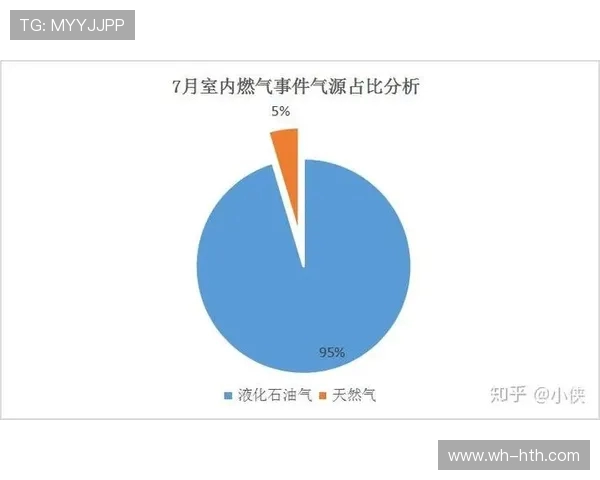 数据分析：液化天然气市场表现及其影响因素探讨