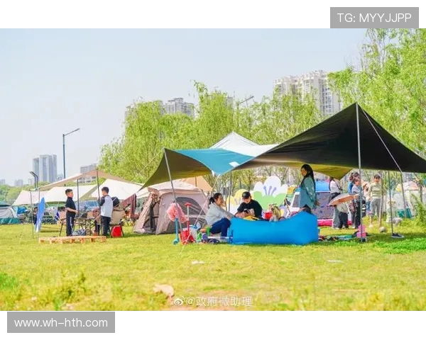 重庆飞盘队的运营揭秘与发展探索深度分析